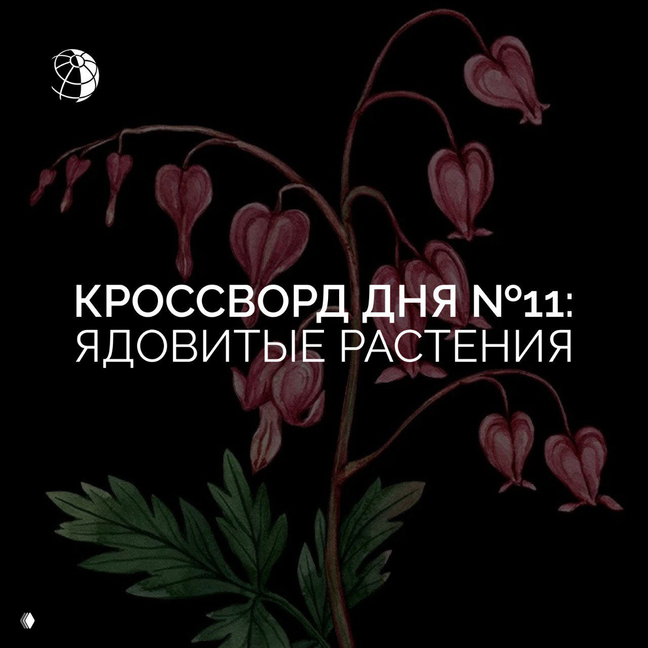 Стилизованная ботаническая иллюстрация цветущего растения на чёрном фоне с крупным заголовком «Кроссворд дня №11: ядовитые растения»