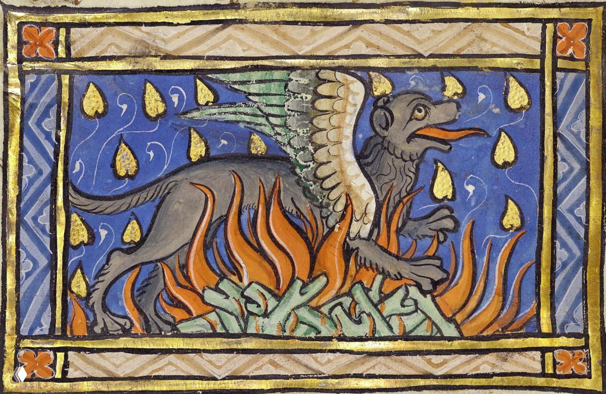 Средневековая миниатюра: изображение огненной саламандры в окружении языков пламени на синем фоне с золотой отделкой.