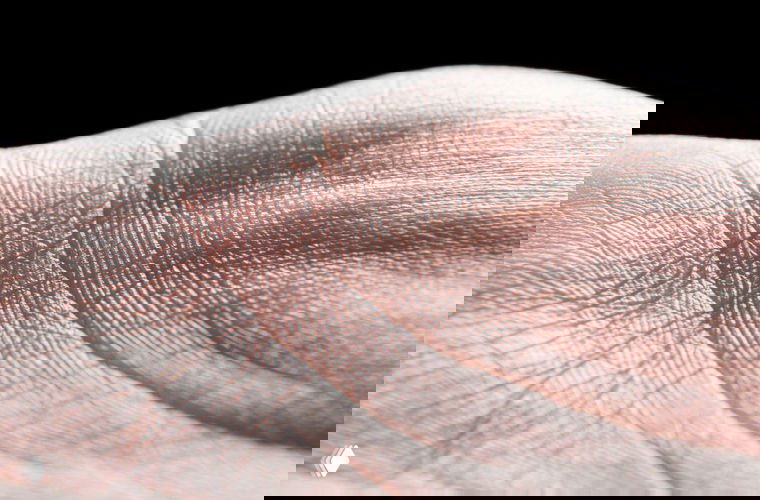 Крупный план папиллярных линий на коже ладони — детальная текстура узоров, показывающая, как они повышают точность осязательных ощущений