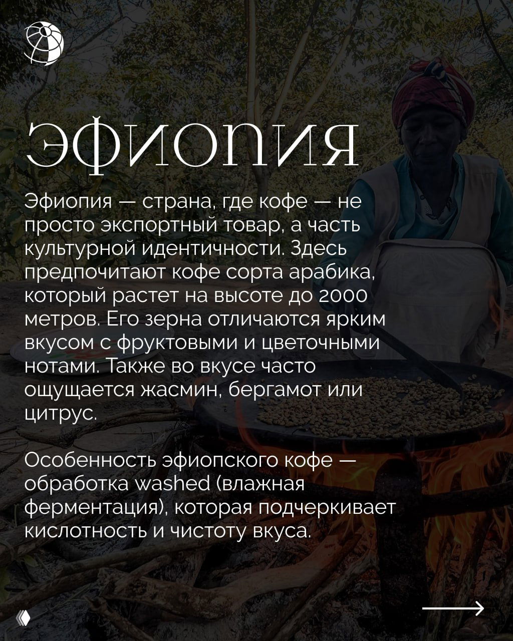 Женщина-производитель кофе в Эфиопии рядом с развешанными на солнце зернами — сцена сбора и сушки арабики в традиционной среде.