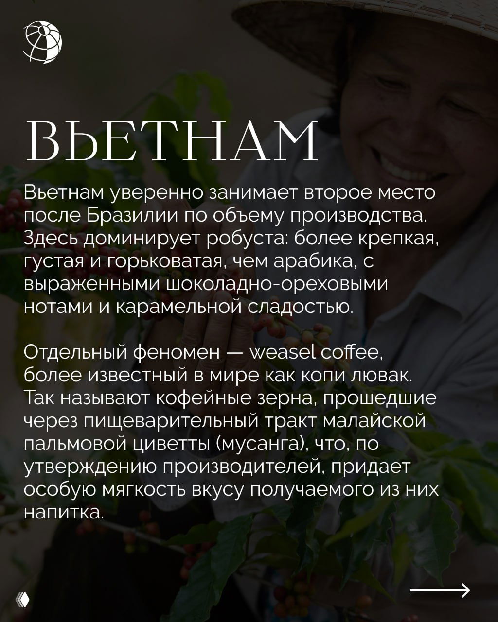 Кофейные плантации и фермеры во Вьетнаме — изображение, подчёркивающее доминирование робусты и особенности региона.