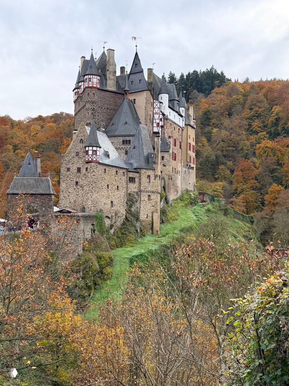 Фотография замка Эльц (Германия): средневековый каменный комплекс на холме в окружении осеннего леса, заметны башни и стены