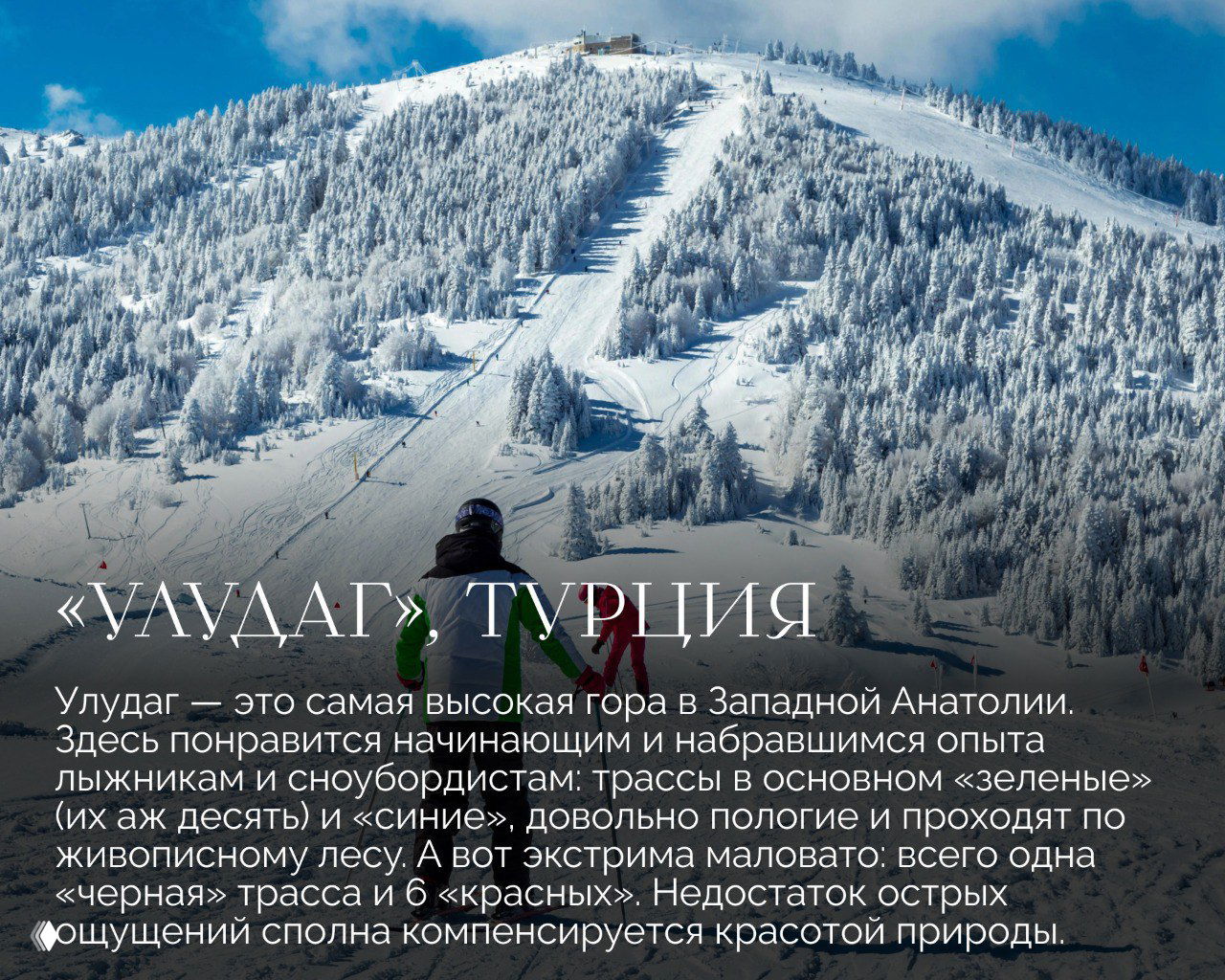 Высокий склон, покрытый снегом и лыжники на спуске на курорте Улудаг (Турция), заснеженные деревья и панорамный пейзаж горной Анатолии.