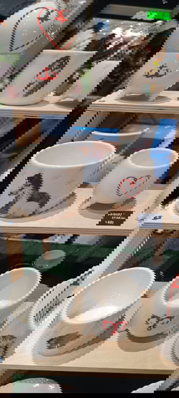 Маленькие пастельные глиняные кашпо разнообразных форм — чашки, волны и цветочные миски — разложены на прозрачной подставке на ярмарке растений.