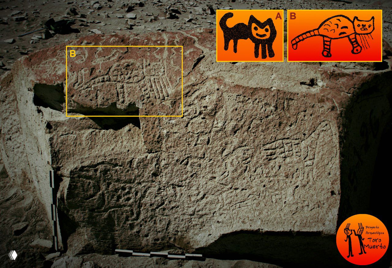 Кошачий культ Южной Америки: сотни петроглифов