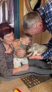 Бабушка и дедушка держат малыша на коленях; мужчина подносит белого котёнка — тёплая семейная сцена с улыбками и нежностью.