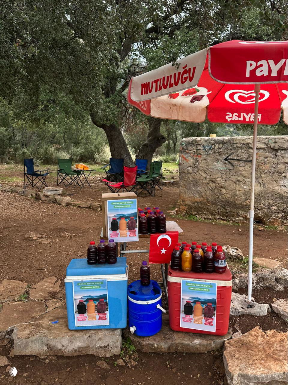 Мини-стенд у дороги с бутылками свежевыжатого сока и мини-холодильниками, рядом маленький бокс для денег и турецкий флаг — система на доверии.