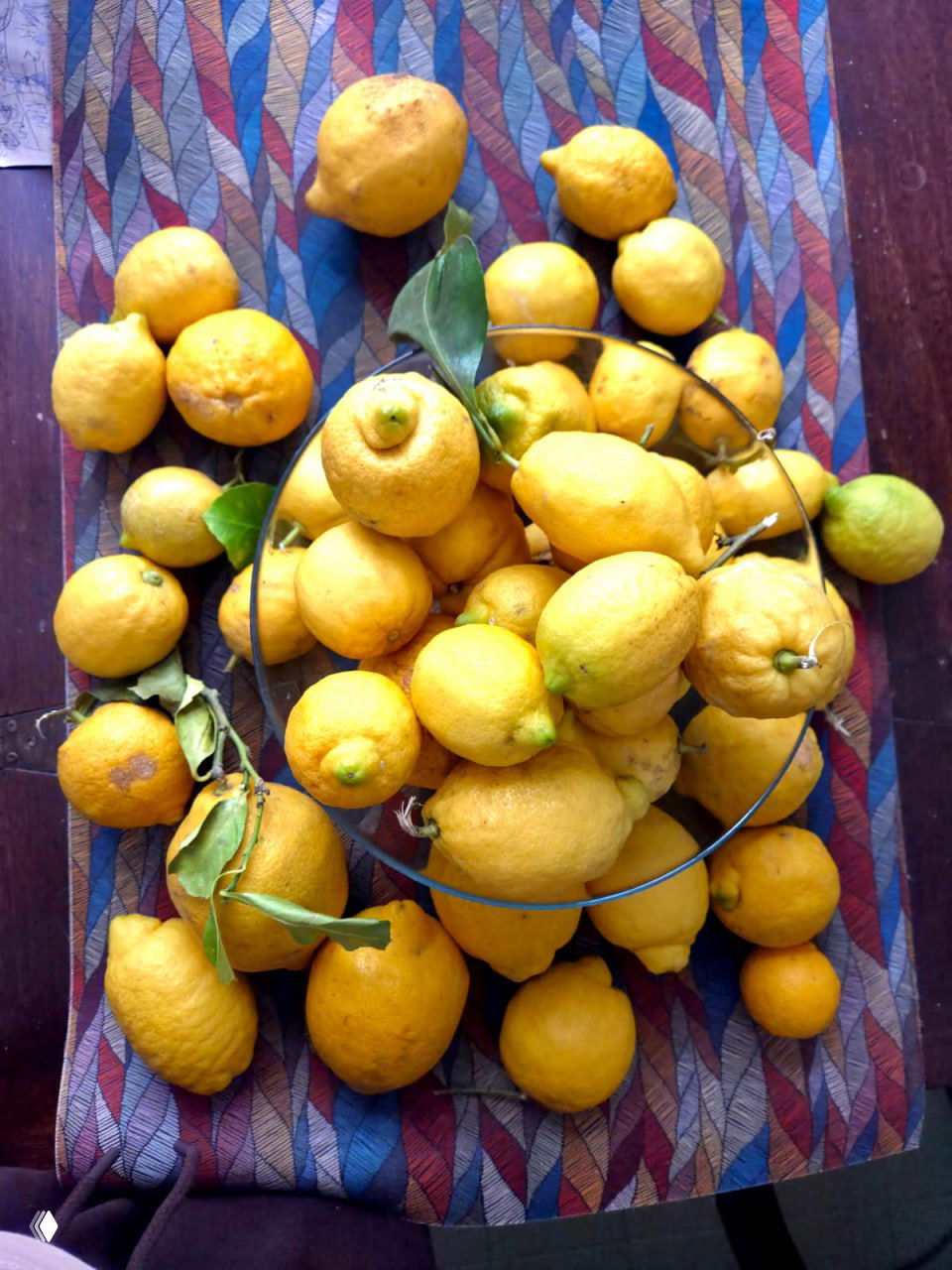 Лимоны — лимончелла и лимонное варенье