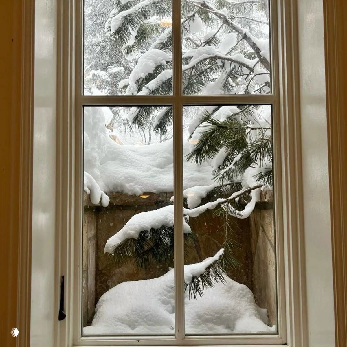 Вид из окна на заснеженные ветви и сугробы — спокойная зимняя сцена, передающая уют новогодних праздников и холодную красоту природы.