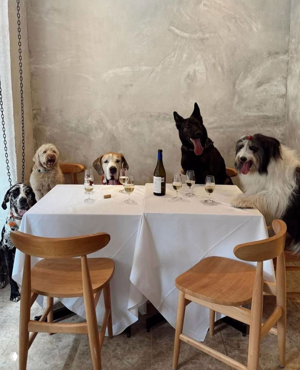 Группа собак за столом в кафе с белой скатертью, фужерами и бутылкой вина — забавная сцена в интерьере ресторана.