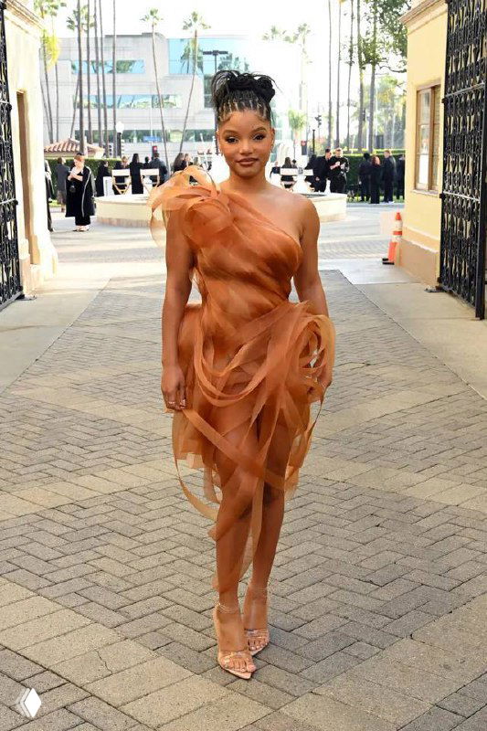 Знаменитость в воздушном многослойном коричневом/рыжем платье из тюля стоит у входа с фонтаном и пальмами на заднем плане, лёгкий летний образ.