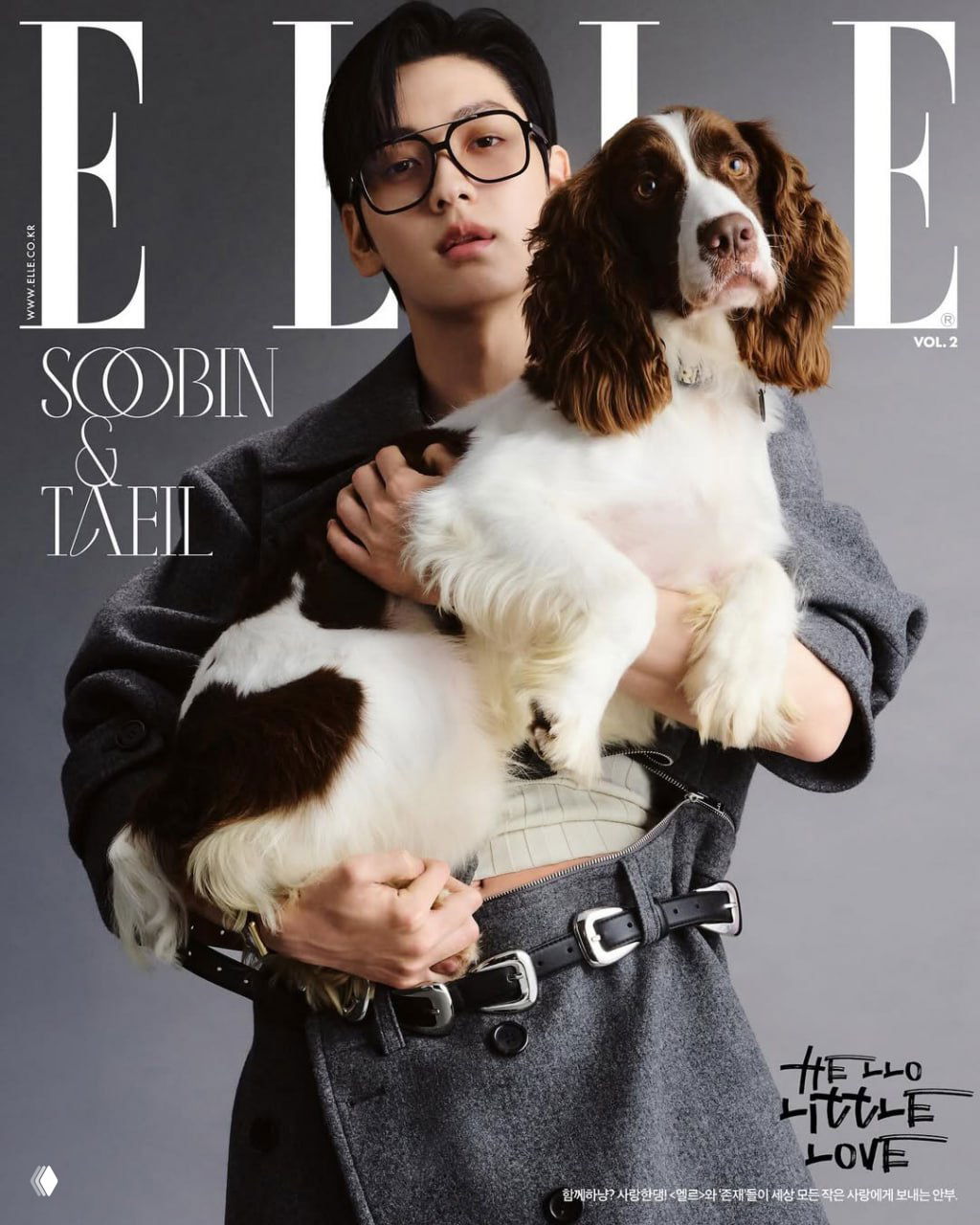 Обложка ELLE Korea: артист в очках держит крупную коричнево‑белую собаку в студийной съёмке; тёплая и уютная атмосфера кадра.