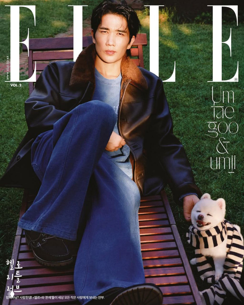 Обложка ELLE Korea: мужчина сидит в кресле в парке рядом с маленькой белой собакой в полосатом шарфе; натуральное уличное окружение.