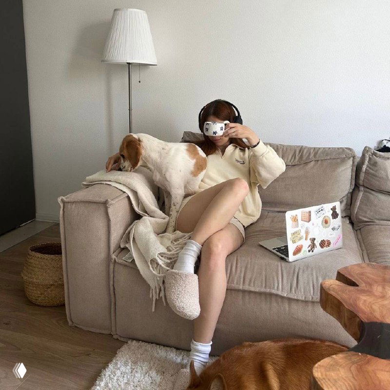 Девушка в светлой худи на диване делает селфи с чашкой, рядом собака и ноутбук с наклейками — домашняя расслабленная сцена