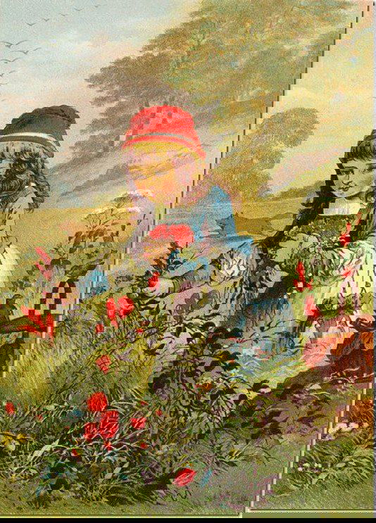 Иллюстрация ребёнка в красном капюшоне, собирающего цветы в поле; пасторальный сюжет, подчёркнутая нежность и простота сценки.