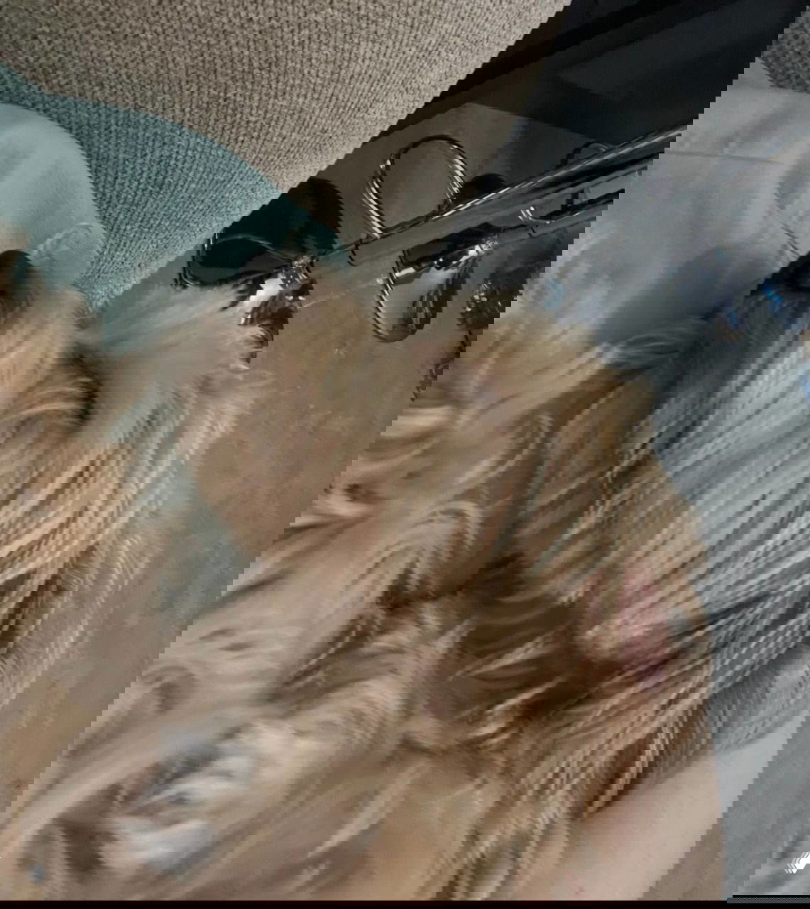 Щенок в спокойном сне лежит на руках хозяина, видно уши и профиль мордочки, атмосфера уюта и безусловной любви