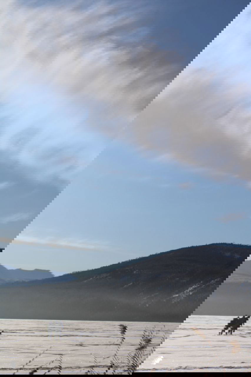 Высокие ели, полностью покрытые снегом, устремлённые в чистое синее небо — характерный вид глубокого зимнего леса в районе Зюраткуля.