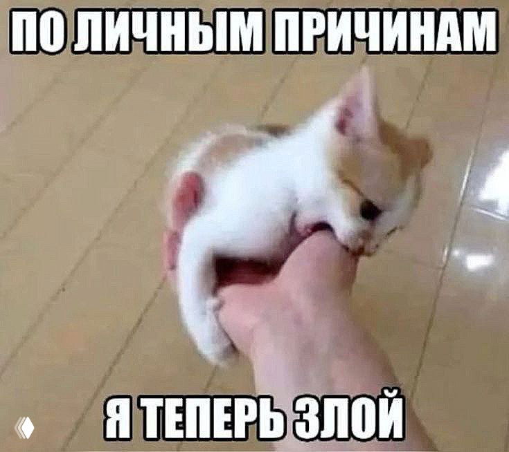 Мем: маленький щенок кусает ногу человека на светлом полу; сверху текст «по личным причинам я теперь злой» — юмористический образ к посту о триггерах.