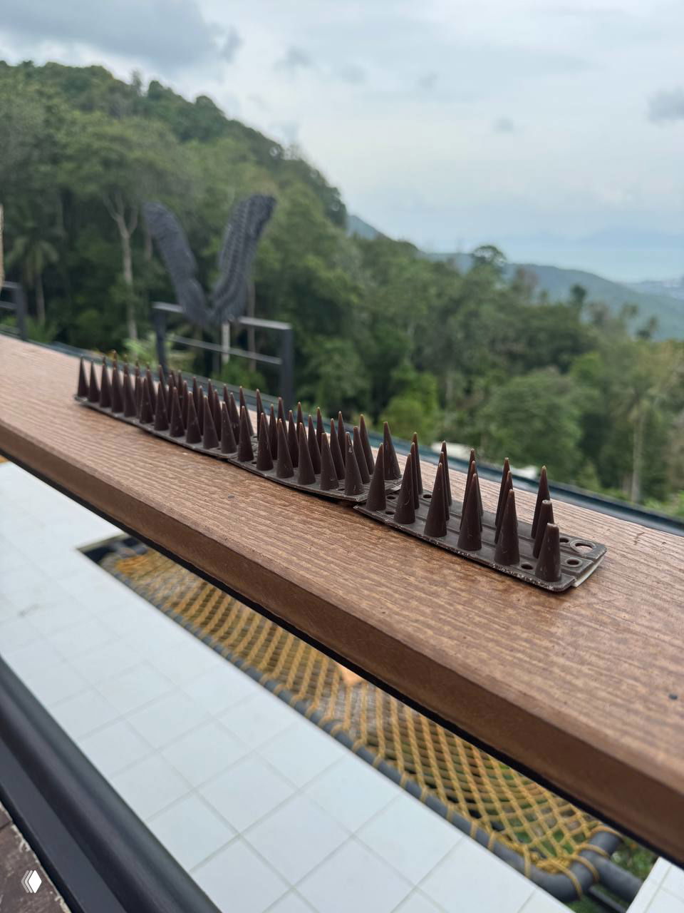 Крупный план пластиковых шипов, установленных на перилах террасы Highland Paradise — против птиц/для безопасности, на фоне зелёного склона и бассейна.