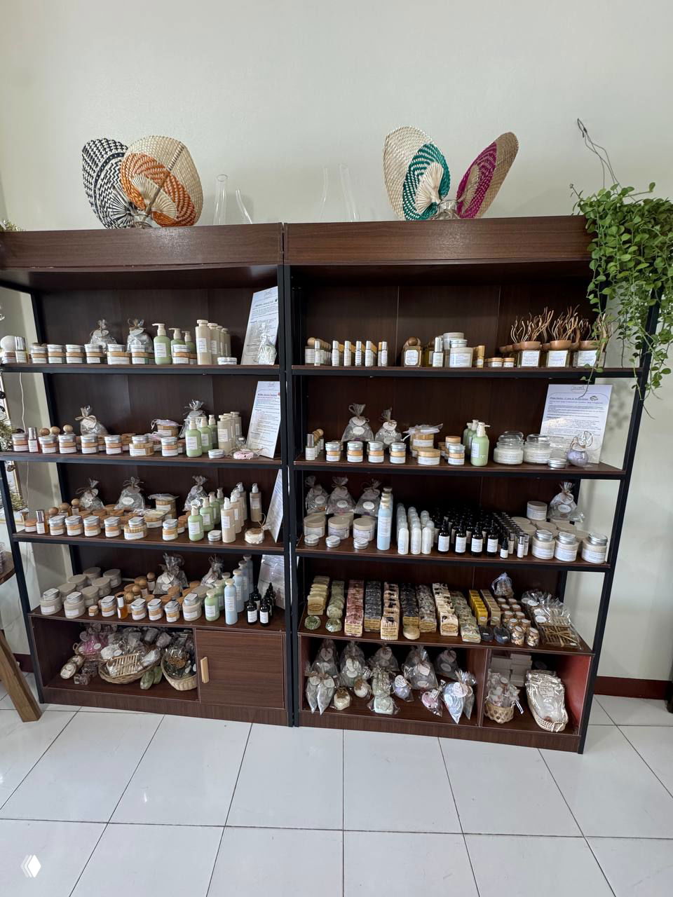 Большая стеллажная витрина с рядами баночек, бутылочек и упаковок косметики и сувениров на темных полках внутри магазина Nicole в Натоне.