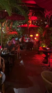 Интерьер DAO Sushi: открытая веранда с растениями, плетёной мебелью и декоративным красным освещением, гости за столиками вечером создают богемную атмосферу.