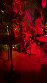 Живая сцена в ресторане при красной подсветке: музыкант у микрофона на фоне растительных декораций и столиков, создающих атмосферный вечерний ракурс.