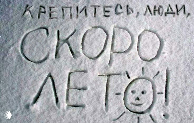 Крещенские морозы и защита кожи: роль лизатов