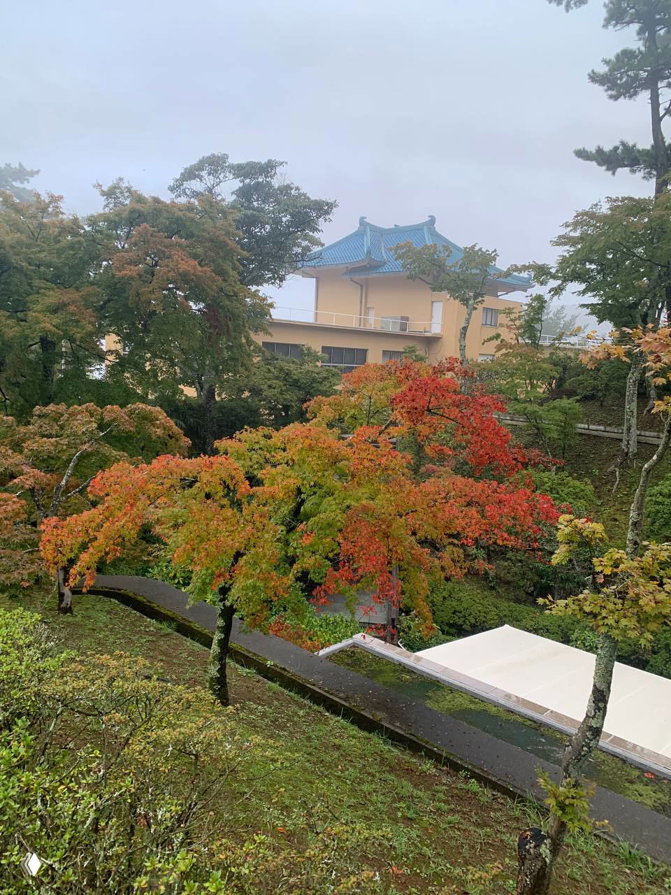 Пейзаж с домом и осенними деревьями: разноцветные кроны и дорожки в тумане, вид с высоты на ландшафт Хаконэ в начале сезона момидзи.
