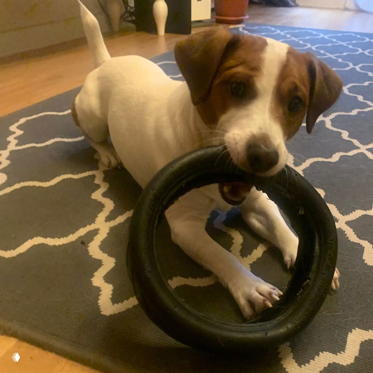 То, что мы «забрали», ценится больше