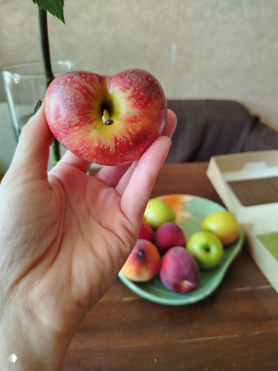 Рука держит плоское сердцевидное яблоко на фоне тарелки с персиками и другими фруктами — домашний стол и сезонные фрукты в кадре.