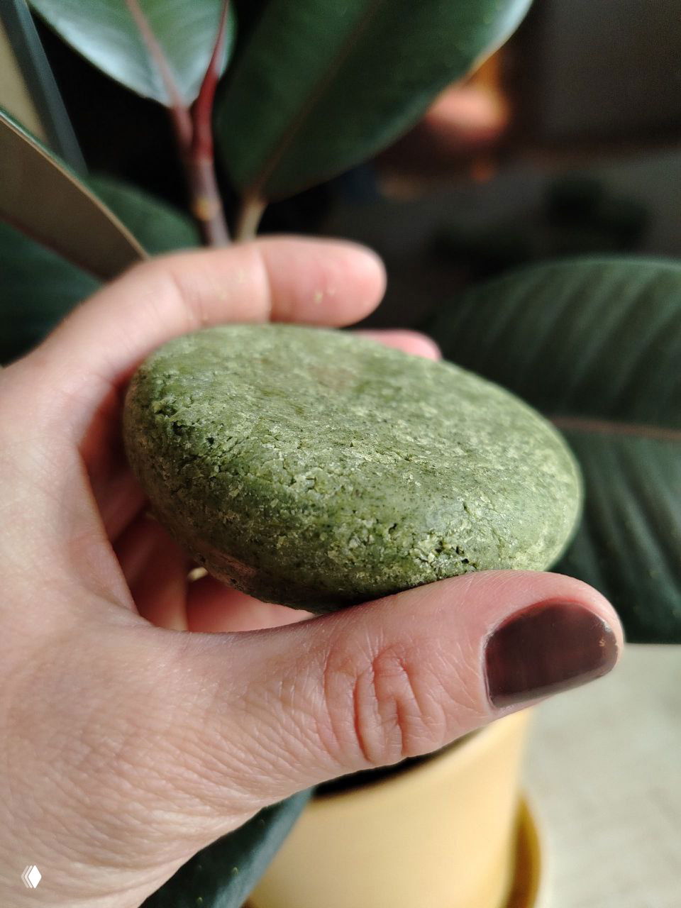 Рука держит зелёную твёрдую плитку‑шампунь круглой формы на фоне комнатного растения — натуральный твёрдый шампунь ручной работы.