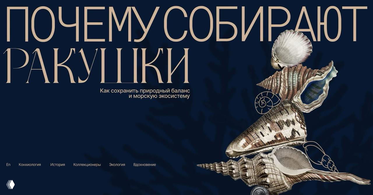 Почему собирают ракушки