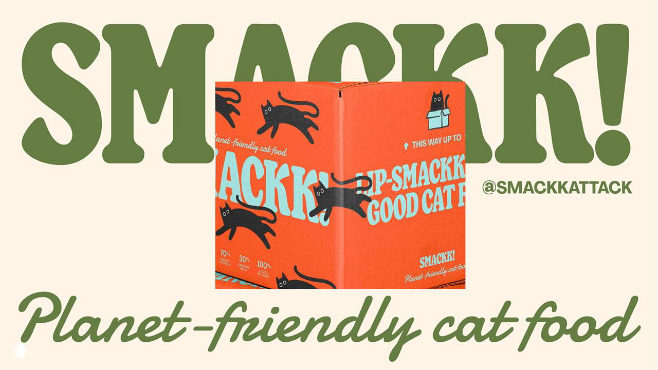 Крупный план коробки корма Smackk: ярко-оранжевая упаковка с бирюзовой типографикой и чёрными забавными силуэтами котов.