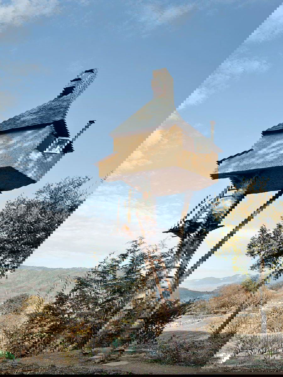 Чайный домик Терунобу Фухимори, поднятый на тонких стволах деревьев; вид в ландшафте с холмами, деревянная лестница к входу.