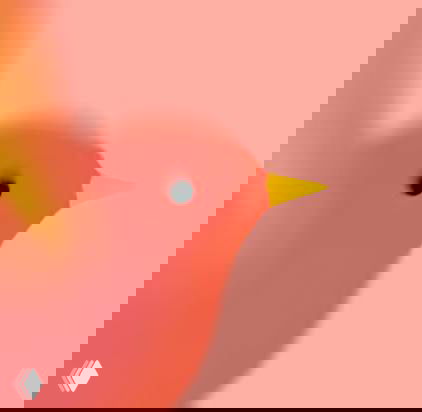 Крупный план яркой розово-коралловой птички на пастельном фоне — декоративный элемент набора иллюстраций ребрендинга.