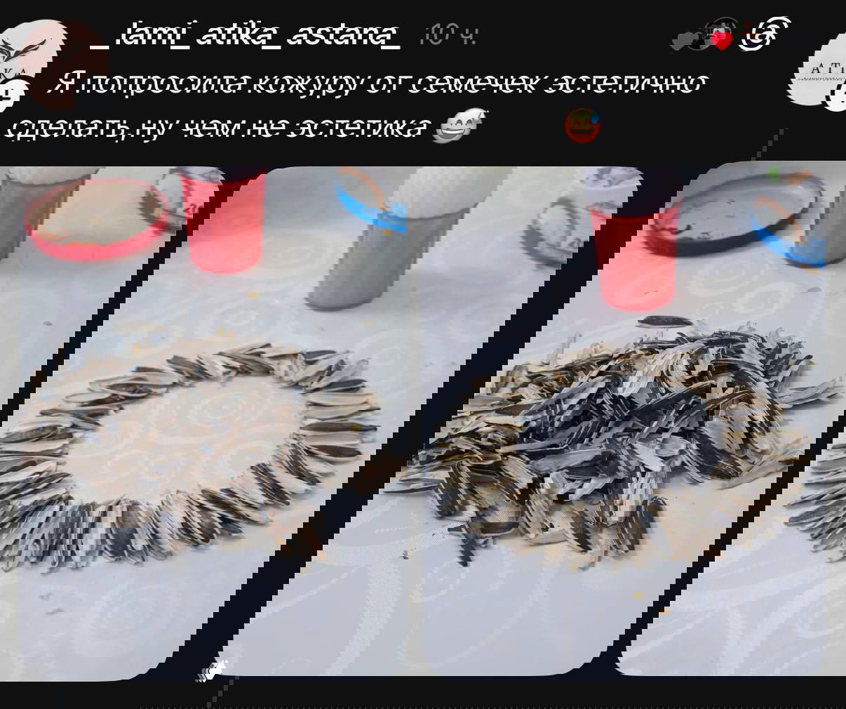 Структурированная композиция семечек: исходная фотография и та же композиция, аккуратно выложенная и подсвеченная для эстетичной подачи.