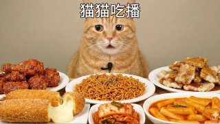 Рыжий кот перед тарелками с лапшой и закусками в формате ASMR/мукбэнг, выражение мордочки и оформление как в вирусных роликах.