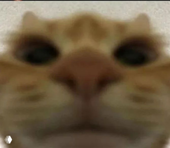 Крупный портрет рыжего кота в макро: мордочка снизу, видны нос, усы и глаза, мягкая текстура шерсти, кадр близко.