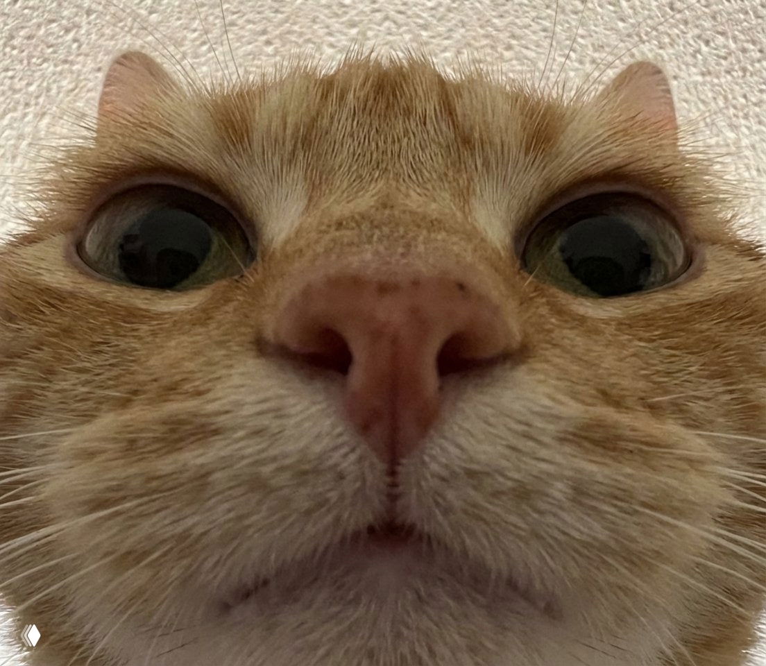 Очень крупный план мордочки рыжего кота: отчетливые глаза и нос, текстура шерсти на близком расстоянии, нейтральный фон.