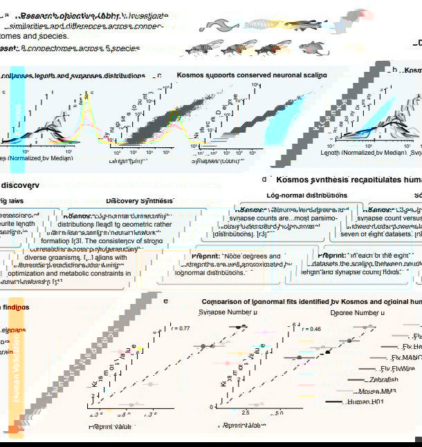 Научная диаграмма с графиками и таблицами, демонстрирующая синтез открытий Kosmos и сравнение с человеческими данными в исследовании, как в публикации.