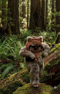 Маленькое звероподобное существо в походном мешке идёт по зелёному лесу; изображение напоминает известных маленьких созданий из киновселенной Star Wars.