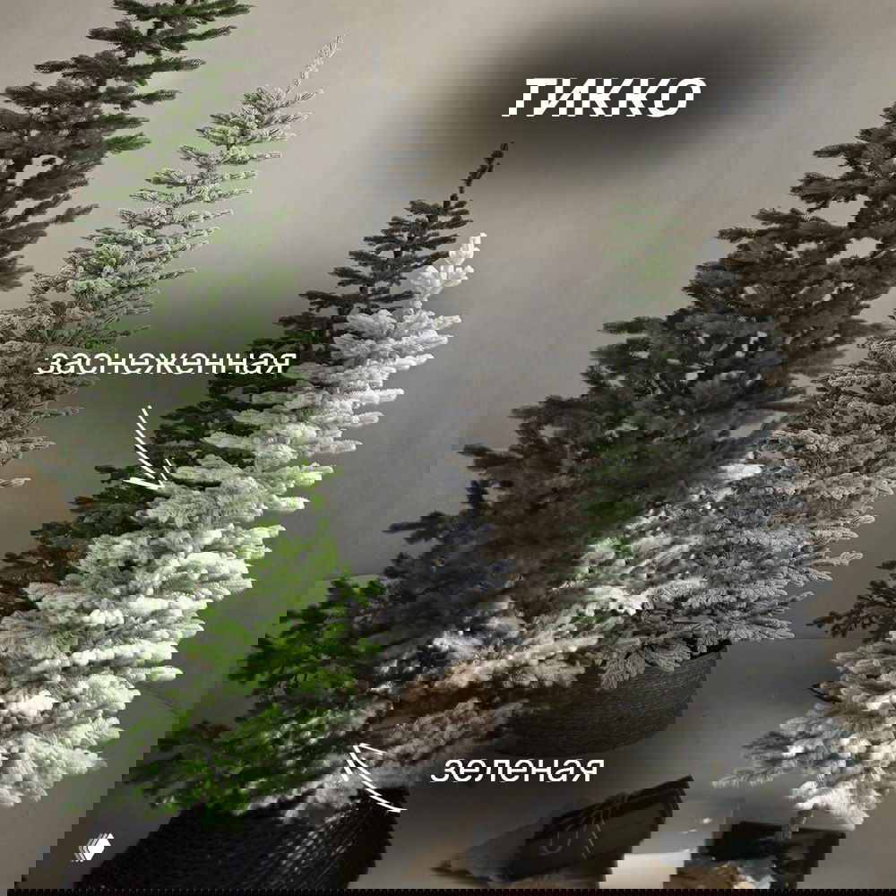 Три узкие искусственные ёлки разной отделки — зелёная, заснеженная и тонкая модель Тикко — показаны как компактные варианты для комнаты.