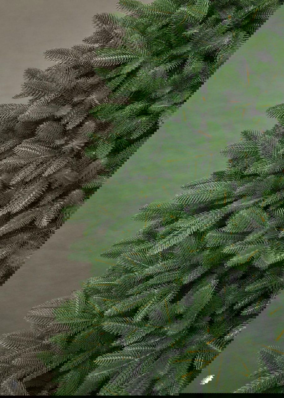 Детальное фото средней части ели «Самарская»: плотные зелёные ветви и реалистичная текстура иголок для оценки натуральности внешнего вида.