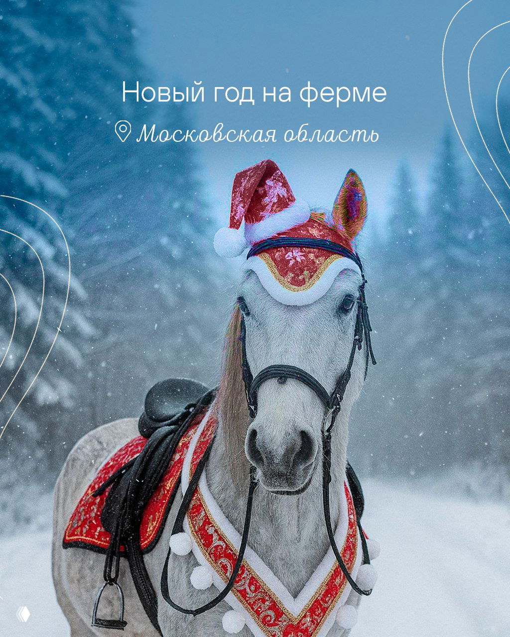 Белая лошадь в праздничной упряжи на заснеженной лесной дороге — символ тура «Новый год на ферме», рождественская атрибутика и зимний фон.