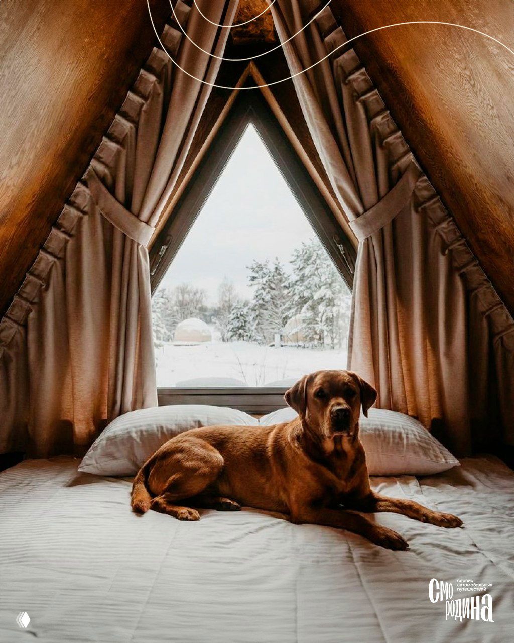 Собака лежит на кровати в деревянном домике, через треугольное окно виднеются геокуполы и заснеженный пейзаж глэмпинга.