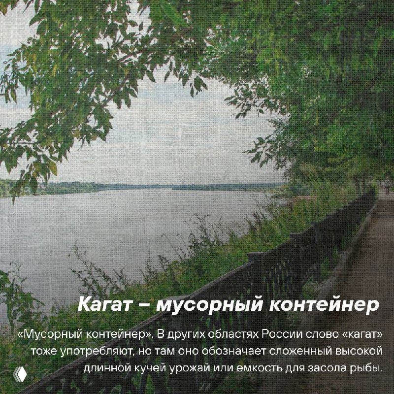 Берег реки и прибрежная растительность Верховолжья: вид с берега на тихую воду и зелёные кроны над ней.