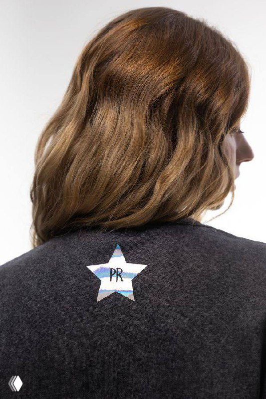 Вид сзади на серое худи с небольшим символом и лэйблом коллекции; промофото одежды для пиарщиков в минималистичном стиле