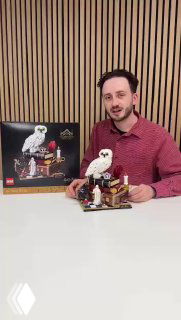 Человек держит собранный набор LEGO по «Гарри Поттеру»: белая сова на книжной подставке, рядом коробка набора и множество мелких деталей-отсылок.