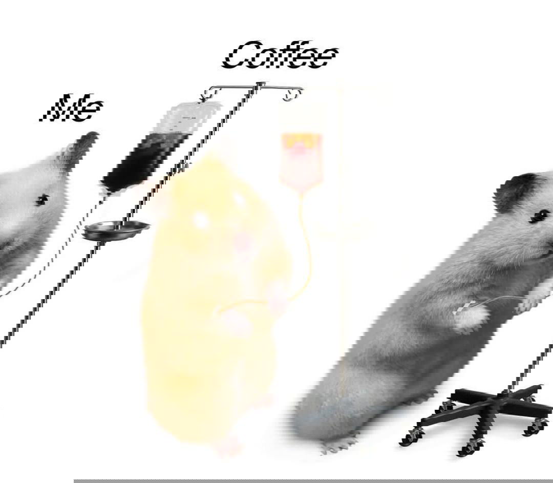 Кофе оказался эликсиром МОЛОДОСТИ