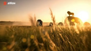 Cinematic promo still showing lions on a golden savannah at sunset with tall grass and a small Zillion logo — teaser mood for upcoming slot release.